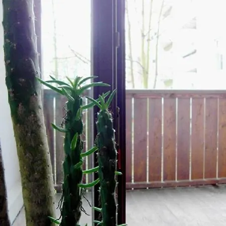 Ferienwohnung-gohlis